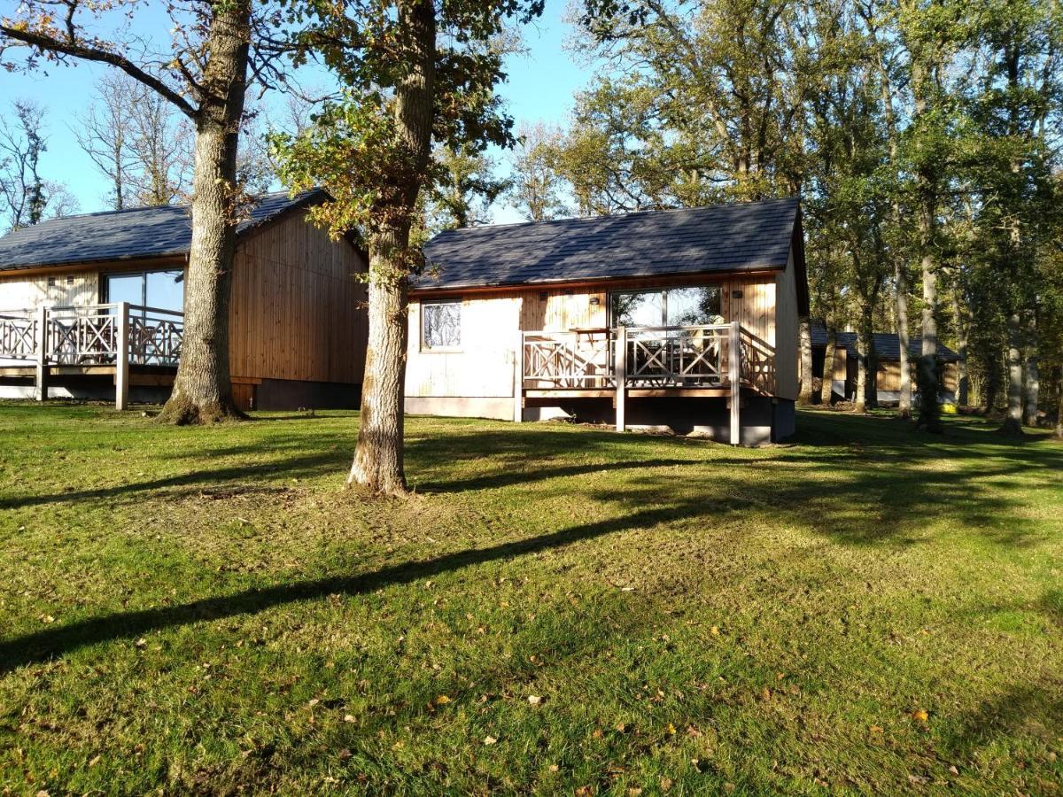 Villa Chalet au bois d'Ourthe à Somme-Leuze Extérieur photo